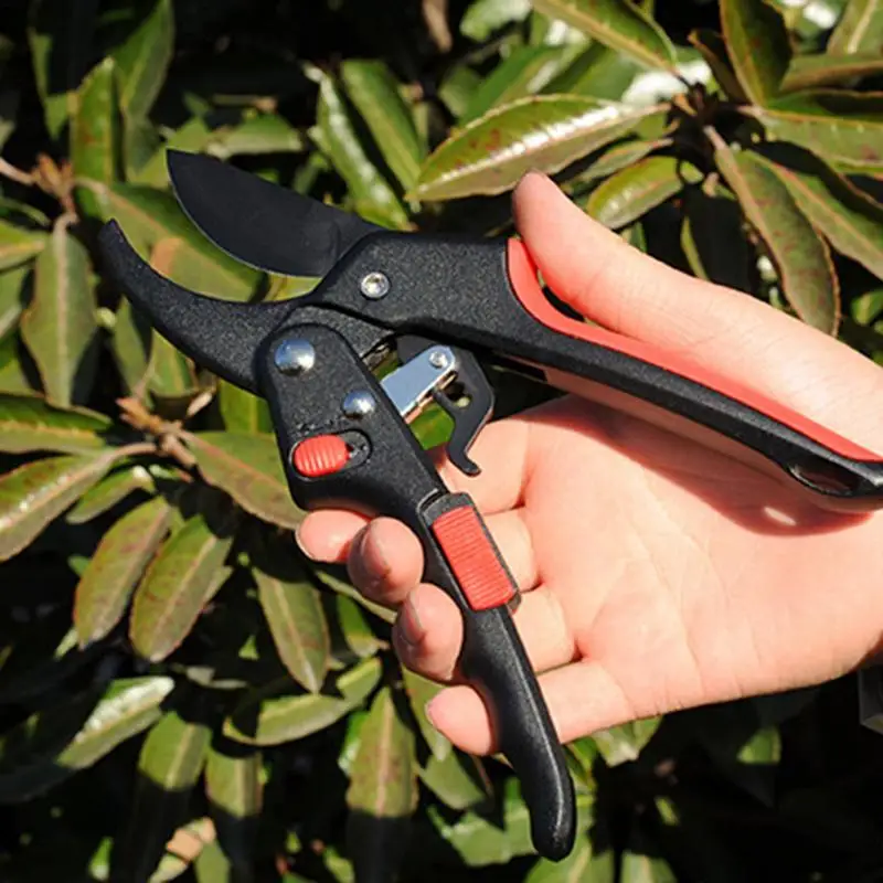 Byp Pruning Shears Trees Pruner Garden Scissors Professional Sharp Tree Tmers Gr - £61.01 GBP