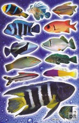 D221 Fish Octopus Aquarium Whale Sticker Decal Kids Size 27x18 cm / 10x7... - $2.49