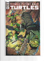 Teenage Mutant Ninja Turtles Issue #132 - Drew Zucker - NM - £15.81 GBP