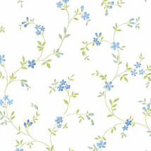 Seed Trail Wallpaper Blue, Green Norwall Wallcovering KE29908 - $41.59