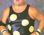 DUSTY RHODES 8X10 PHOTO WRESTLING PICTURE COLOR - $4.94