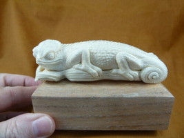(LIZ-W8) chameleon Lizard of shed ANTLER figurine Bali detailed carving ... - $183.02