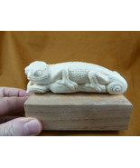 (LIZ-W8) chameleon Lizard of shed ANTLER figurine Bali detailed carving ... - £143.62 GBP