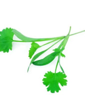 Simple Pack 50g  seed Herb Coriander, santo - £11.11 GBP