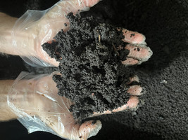 5 LB Fresh organic worm castings, organic Fertilizer, Vermicompost, compost - $35.00