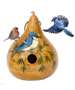 BLUE JAY GOURD BIRDHOUSE - Amish Hand Painted Bird House - $73.49 CAD