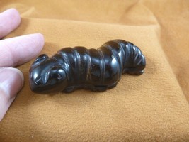 Y-CATE-713) Tiger eye CATERPILLAR Inch WORM figurine gemstone carving in... - $17.53