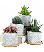 Succulent Planter Pots,Cactus Plant Pot Indoor Small Concrete Herb Windo... - £28.61 GBP