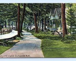 Blodgett Street View Lake Sunapee New Hampshire NH 1909 DB Postcard Q1 - $2.92