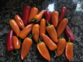 Item image 1 image 1