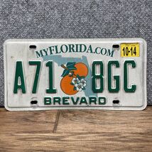 Florida Orange Blossom License Plate My Florida 2014 Mancave LG - $19.79