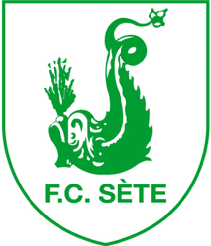 FC Sete 34 France Football Badge Iron On Embroidered Patch - $15.99+