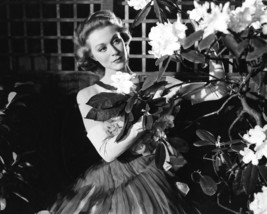 Moira Shearer in The Man Who Loved Redheads portrait with flowers 16x20 ... - $69.99