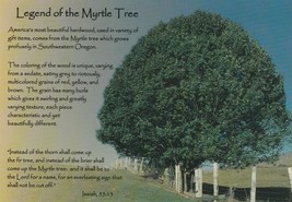 Postcard Legend of the Myrtle Tree Unused Continental Card - £5.45 GBP