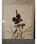 JIM OLIVER AMERICAN WILDLIFE ARTIST REDWING BLACKBIRD #508 NUMBERED AND ... - $34.60