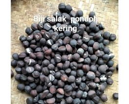 Biji Salak Pondoh Kering (Salacca edulis Seed Dried), 80 Gram - $14.60