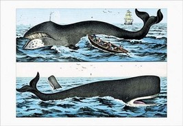 Whales by Heinrich V. Schubert - Art Print - £17.37 GBP+