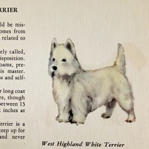 West Highland White Terrier 1939 Dog Breed Art Ole Larsen Color Print PC... - £23.88 GBP