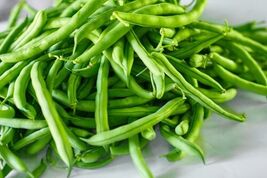 Fresh 30 Provider Bush Green Bean Seeds  - $3.31