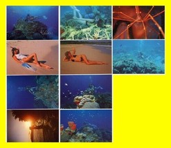 10 Underwater Amateur Bikini U.S. Virgin Islands Underwater Sexy Post Cards - £7.74 GBP