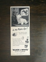 Vintage 1951 Black &amp; White Whiskey Scottie &amp; Westie Dog Original Ad 1221 - £5.30 GBP