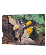 Postcard Desert Cottontail Rabbit Feeding On Prickly Pear Cactus Blossom... - €4,25 EUR
