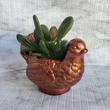Turkey Planter with Succulent, Thanksgiving Succulent Gift, Bird Pot Jade Plant