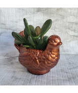 Turkey Planter with Succulent, Thanksgiving Succulent Gift, Bird Pot Jad... - £15.94 GBP