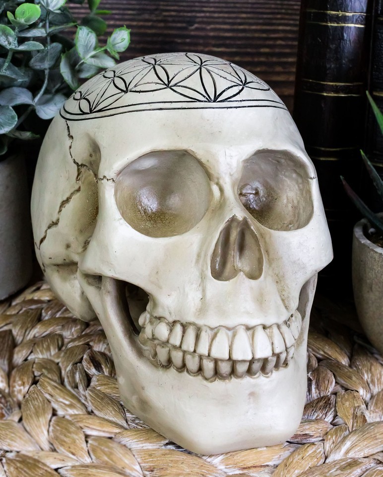 Gothic Sacred Geometry Flower Of Life Creation Cosmic Energy Skull Figurine Item image 8