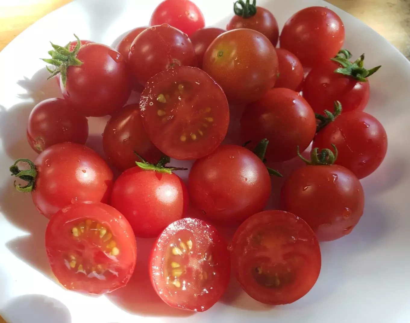 Vilma Micro Dwarf Tomato (20 Seeds) - perfect for containers! - $7.68