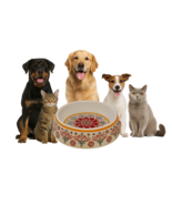 8.5&quot; Mandala Pet Bowl – 4 Cup Melamine Food &amp; Water Dish for Dogs or Cats - $20.25 CAD