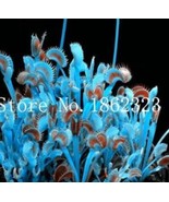 100 Pcs Potted Insectivorous Plants Dionaea Muscipula Giant Clip Venus - $10.36