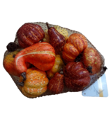 Artificial Fall Pumpkins and Gourds 12pc Autumn Table Display Decor Seas... - $20.33 CAD