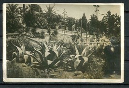 Russia Photo Card/Pocztowaja Kartoczka Sochi  arboretum terrace view  9665 - $5.93