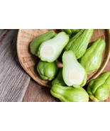 Chayote, 30 Seeds - £9.76 GBP
