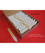 White Plastic Plant Stakes  5&quot; X 5/8&quot;  Markers Plant Labels Tags Made in... - $171.84 MXN+