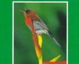 A Photographic Guide to Birds of Peninsular Malaysia and Singapore - $14.99