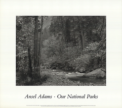 ANSEL ADAMS Tenaya Creek, Dogwood, Rain, Yosemite National Park, 1992 - $82.17