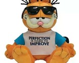 Garfield The Cat Ty Beanie Baby Perfection is Hard To Improve Mint Retir... - £19.94 GBP