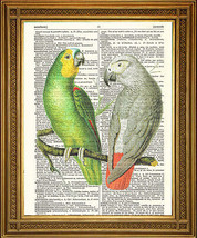Vintage Diccionario Página Estampado: Africano Verde Y Gris Loros Aves Arte ( - £5.11 GBP