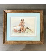 APPALOOSA FOAL lithograph print Framed artwork by B.R.Greene - £13.21 GBP