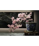 3 okame cherry  bonsai starter kit (live tree seedling 7 to 13 inches) - $56.43