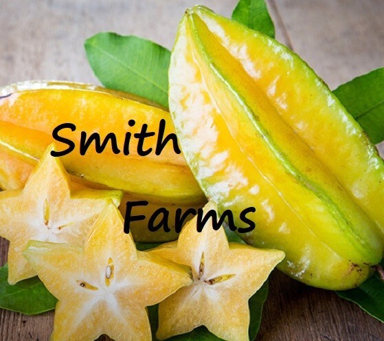Syr 30 Seeds Yellow Star Fruit Aka Carambola Starfruit Fast Growing 