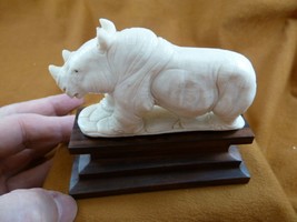 (rhino-8) white Rhinoceros Rhino of shed ANTLER figurine Bali detailed c... - $74.32