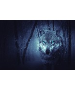 FAMILIAR SPIRIT CONJURING SPELL! UNIQUE COMPANION! PROTECTION! GUIDANCE!... - $74.99