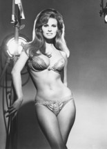 Raquel Welch Poster 24X36 Sexy PIN-UP 1960s Bra&amp;Panties As Lillian Lust Pinup - £31.35 GBP