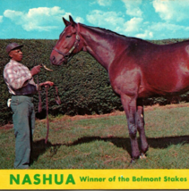 c1958 Vintage Nashua Racehorse Belmont Stakes LusterChrome Unposted Postcard - £10.11 GBP