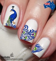 Peacock &amp; Feather Nail Art Decal Sticker Water Transfer Slider - £3.59 GBP