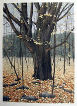 Helen Rundell Plate Sign/#d Litho &quot;Old Oak&quot; Fall wooded scene in the country - $29.70