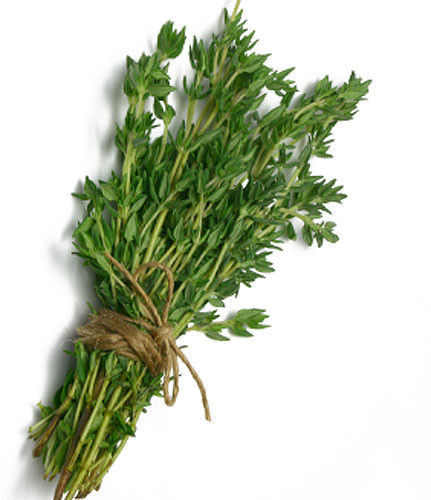 HeirloomSupplySuccess 100 Heirloom Thyme Herb (Spice) Perennial Seeds - $2.99